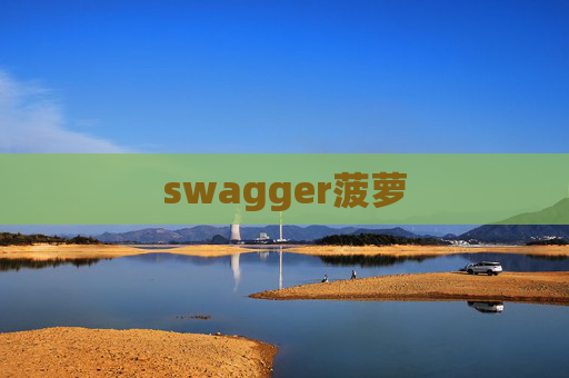 swagger菠萝 swagger菠萝